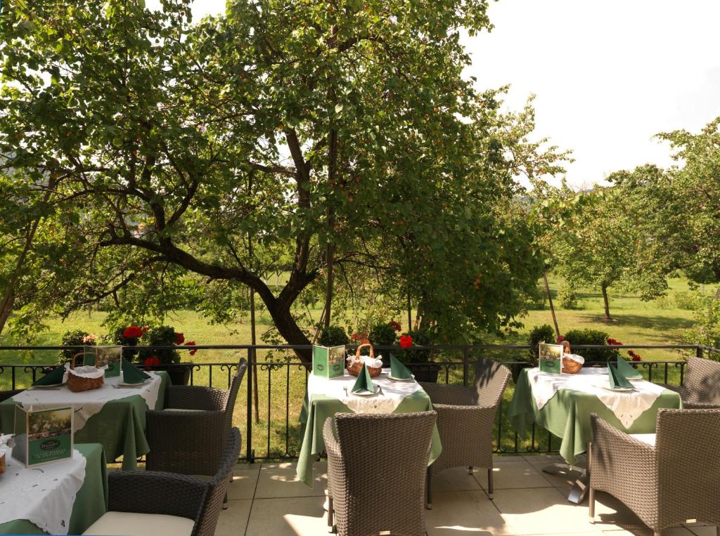 Aed väljaspool majutusasutust Donauhof - Hotel garni