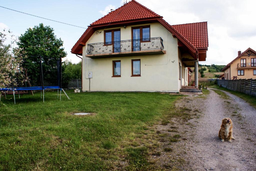 Domáce zviera alebo zvieratá hostí v ubytovaní Agroturystyka u Aleksa