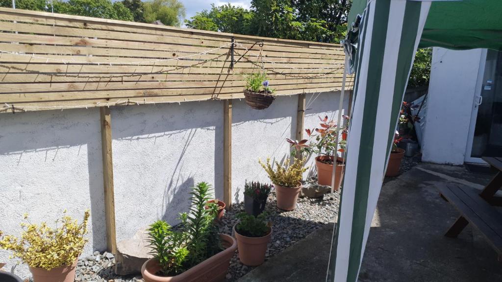 Zahrada ubytování Pia House