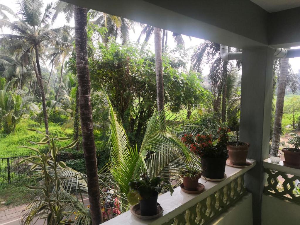 Zahrada ubytování Celso's Home Stay