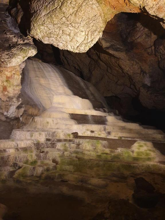 Fotografie z fotogalerie ubytování Vila Vera Borsko Jezero v destinaci Bor