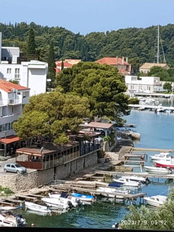 a group of boats are docked in a marina at Apartments Raguz in Cavtat