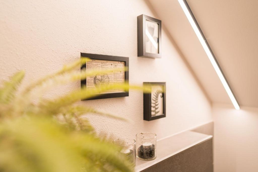 Fotografie z fotogalerie ubytování Apartment Schichlreit v destinaci Annaberg im Lammertal