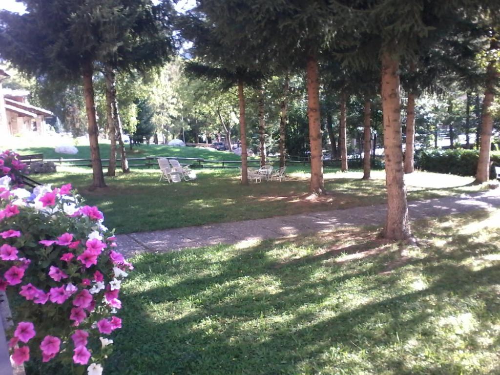 um parque com árvores e flores cor-de-rosa na relva em BUONAVACANZA IN MONTAGNA em Limone Piemonte