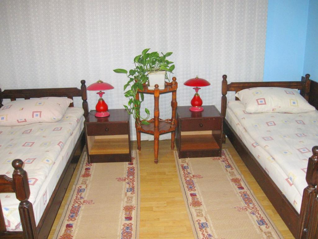 Voodi või voodid majutusasutuse Amfora Rooms Caribrod toas