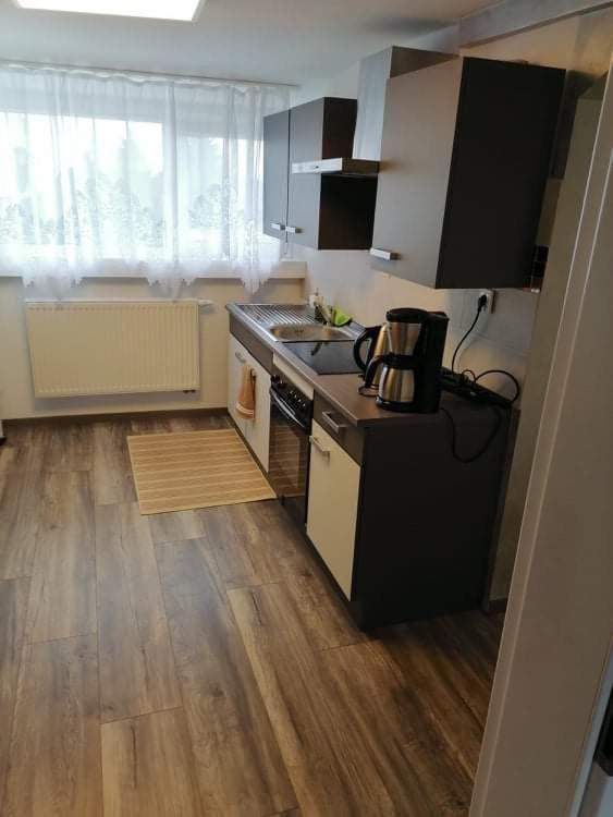eine Küche mit einer Spüle und einem Herd Top-Backofen in der Unterkunft Ferienwohnung Andreea in Saarlouis