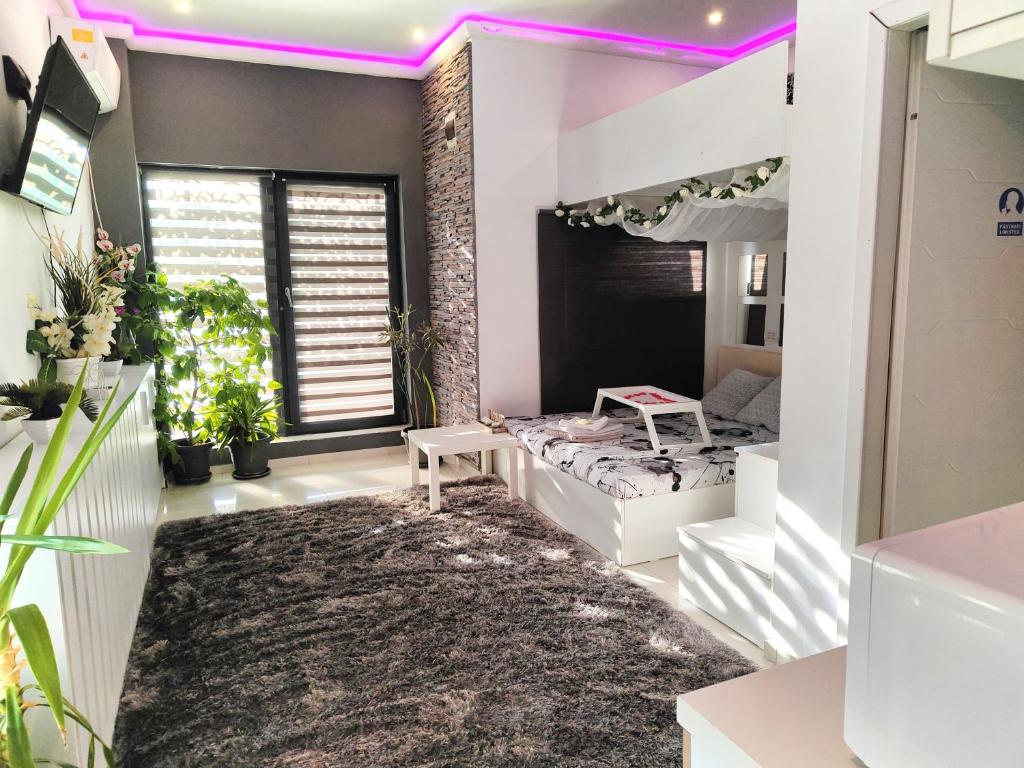 Cette chambre comprend un lit et un grand tapis. dans l'établissement Gaia Aparthotel, à Constanţa