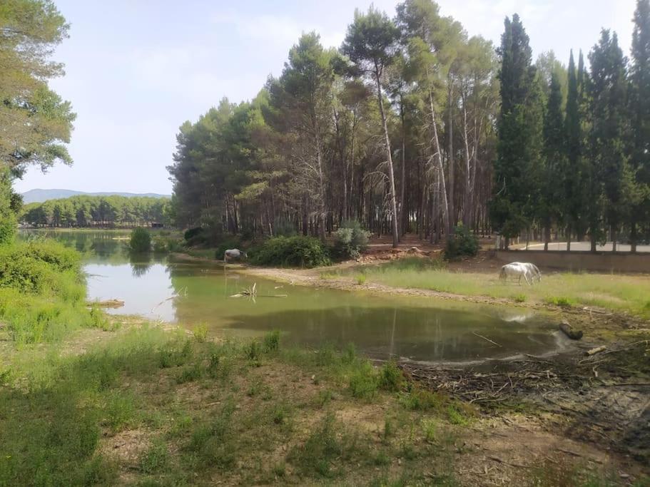 Fotografie z fotogalerie ubytování Casa junto al lago v destinaci Jérica