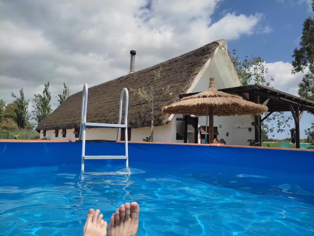 une personne se posant dans l'eau d'une piscine dans l'établissement Barraca Gran, à Deltebre