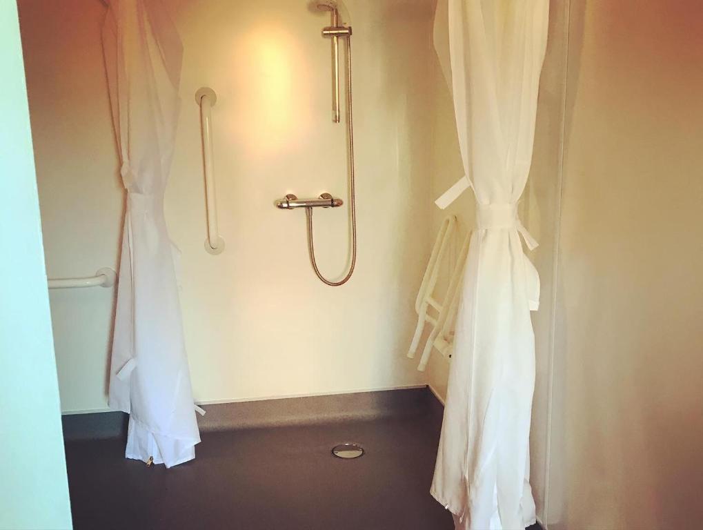 a bathroom with a shower and a shower curtain at The Swan Inn Newport in Newport