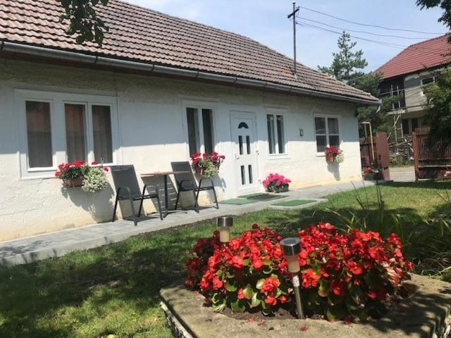 a house with chairs and flowers in front of it at Casuta Sanatatii in Covasna