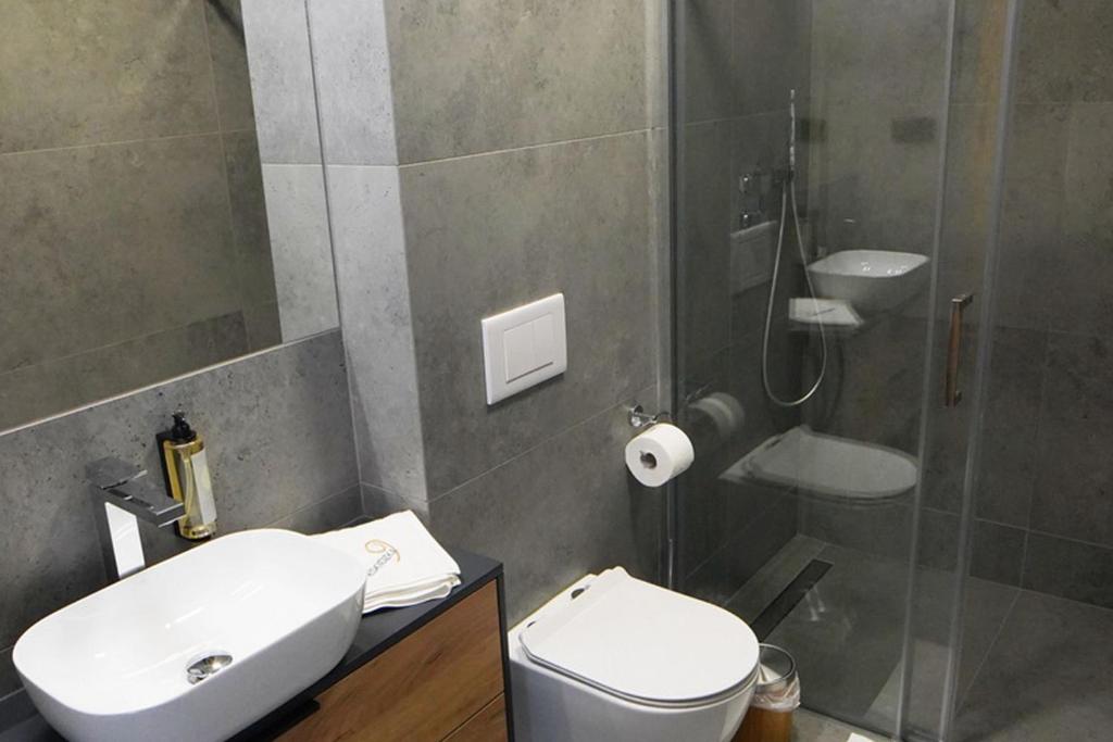 Beskidzka9 & Free Sauna - 1