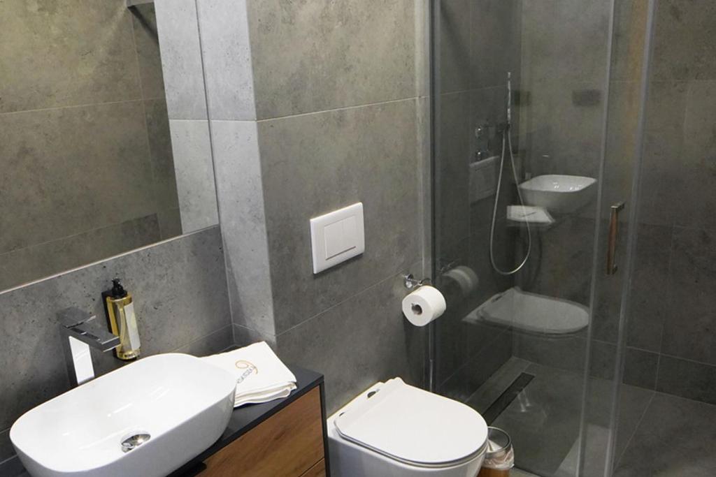 Beskidzka9 & Free Sauna - 19