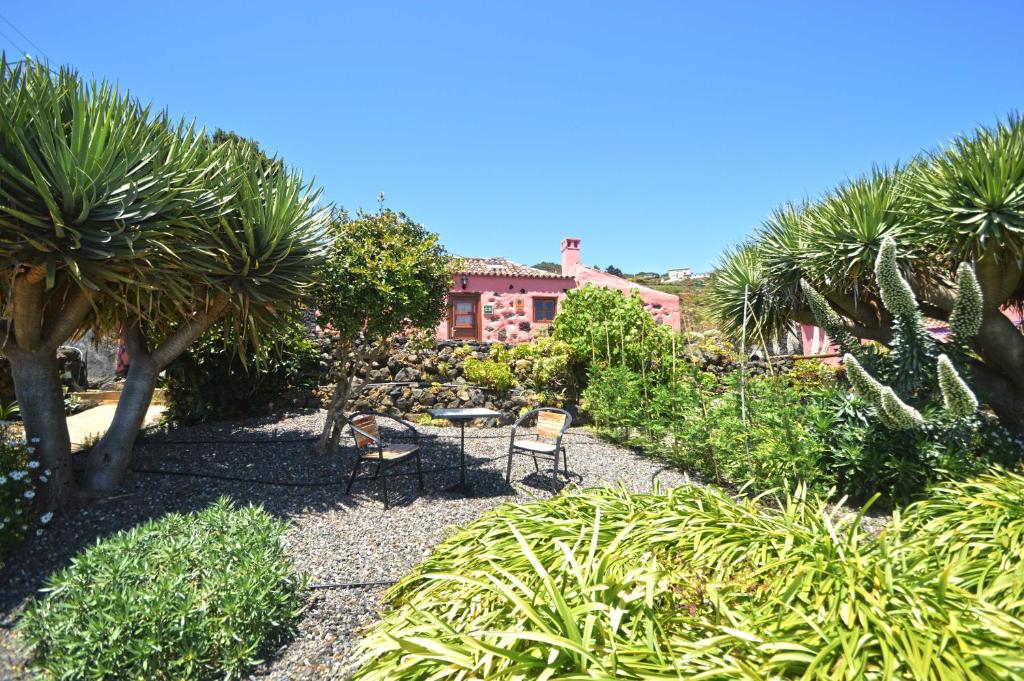 un jardín con mesa, sillas y palmeras en Sabina, en Mazo