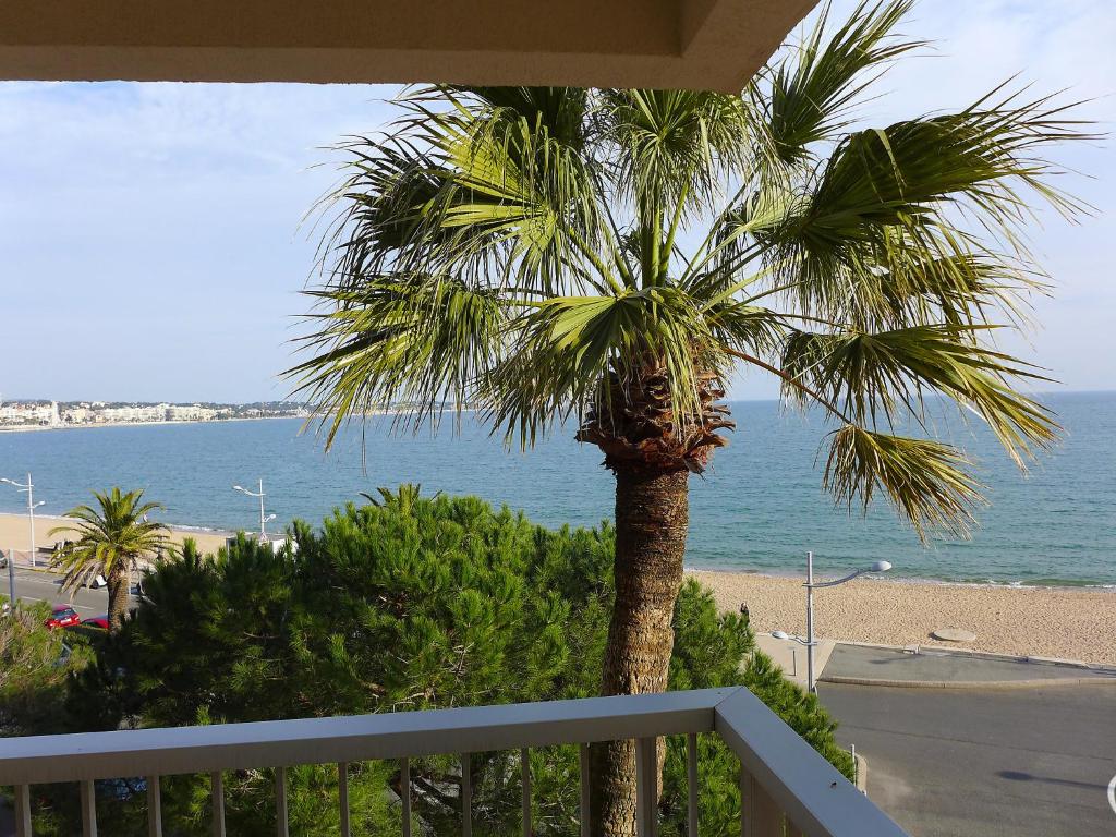 フレジュスにあるApartment Le Capitole-2 by Interhomeのヤシの木が植えられたバルコニーからビーチを見渡せます。
