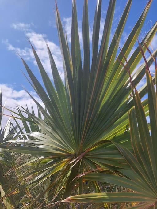 Fotografie z fotogalerie ubytování Hipoclub Villas, Aguamarina 27 v destinaci Playa Blanca