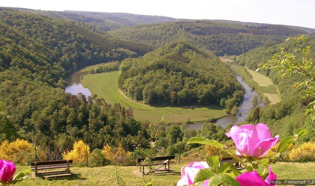 uma vista para um vale com um rio e flores em Gîte de la Lavandière à Ucimont em Ucimont