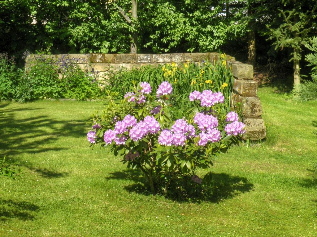 Giardino di Am Lindenbaum