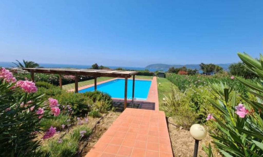 una piscina en un jardín con flores en Casa Zuccale, en Capoliveri