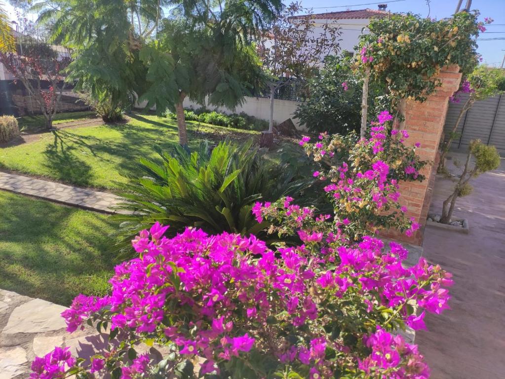 Zahrada ubytování Villa Parets de Sucre