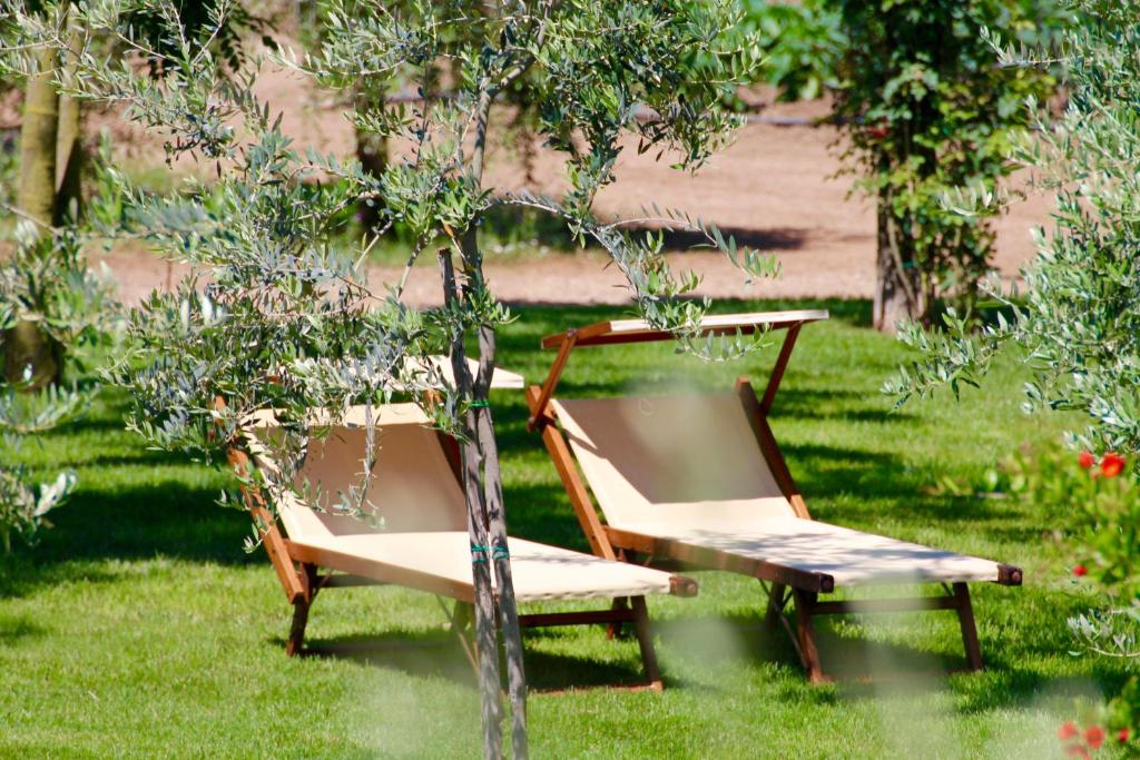 Ogród w obiekcie Agriturismo Vecchio Imposto