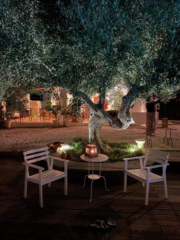 Zahrada ubytování Masseria Trulli&Stelle B&B