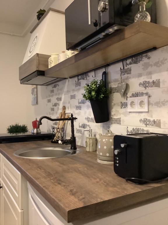 Kuchnia lub aneks kuchenny w obiekcie Ezüst Boróka Apartman