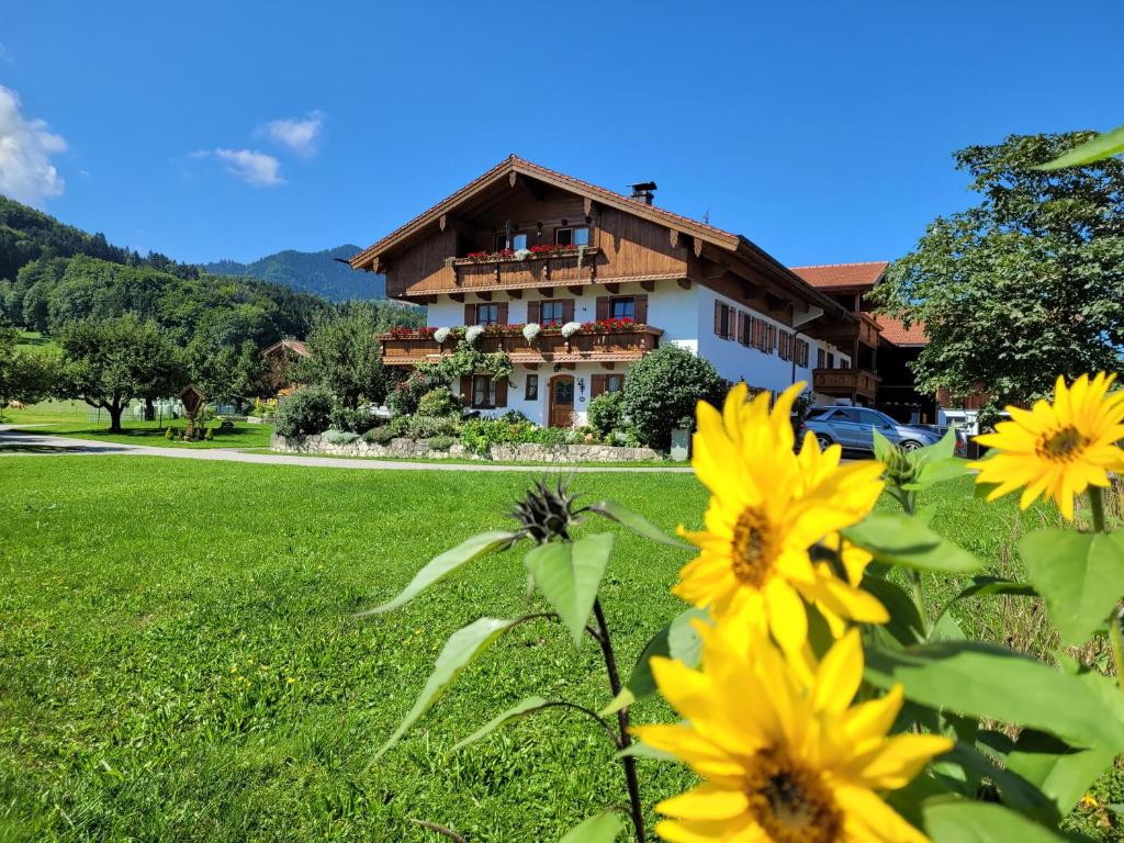 uma casa no fundo com flores amarelas no primeiro plano em Hoderhof em Grassau