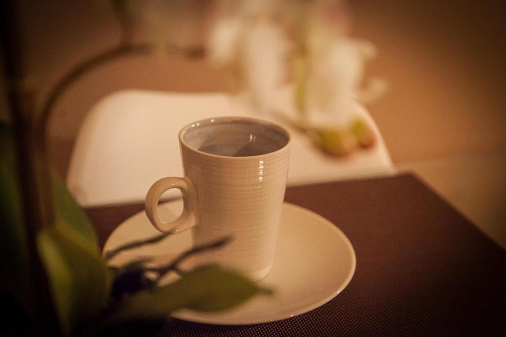 SEÑORÍO de ORGAZ "Con Patio TOLEDANO" - 9