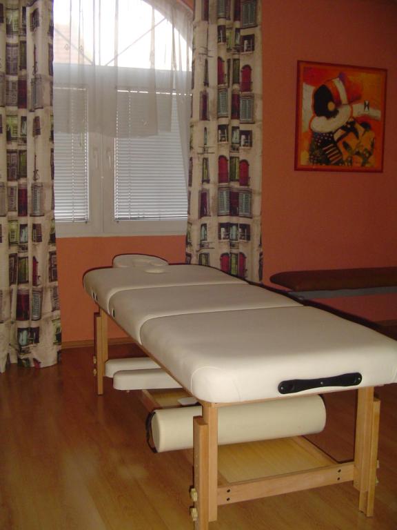 Lázně a/nebo wellness v ubytování Villa Ametyst