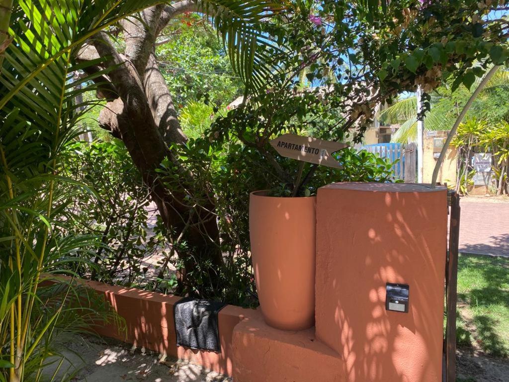 Apartamentos Aconchegantes, Villa da Praia - 上级工作室