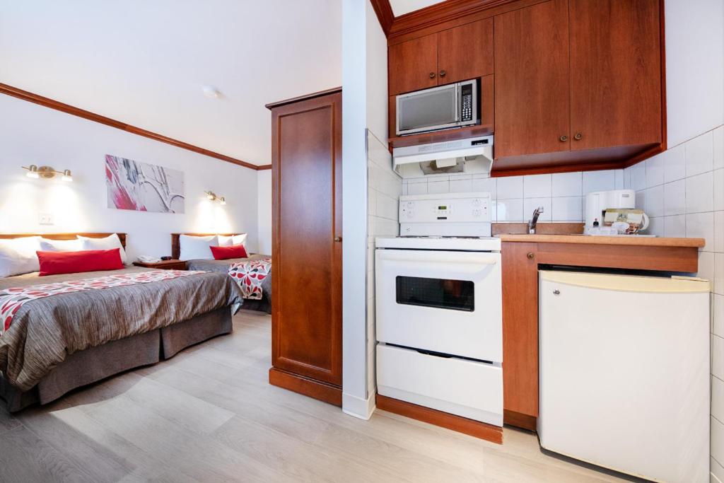 Kuchyň nebo kuchyňský kout v ubytování Hotel Plante