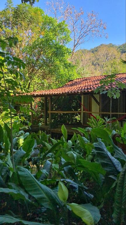 Zahrada ubytování Finca Vallescondido