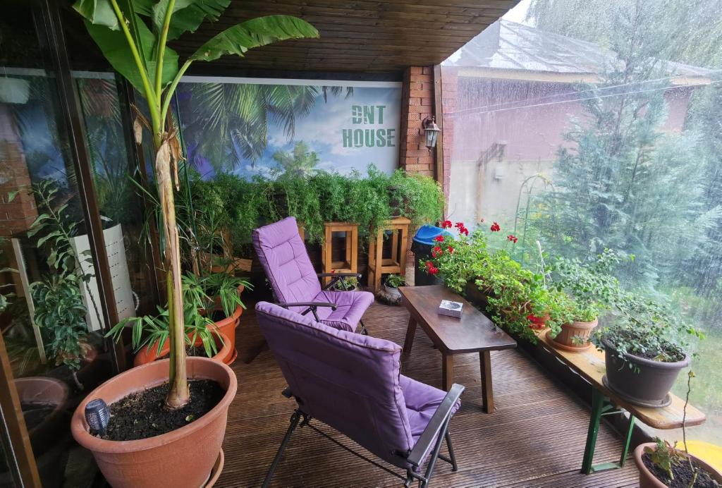 Zahrada ubytování DNT HOUSE &spa
