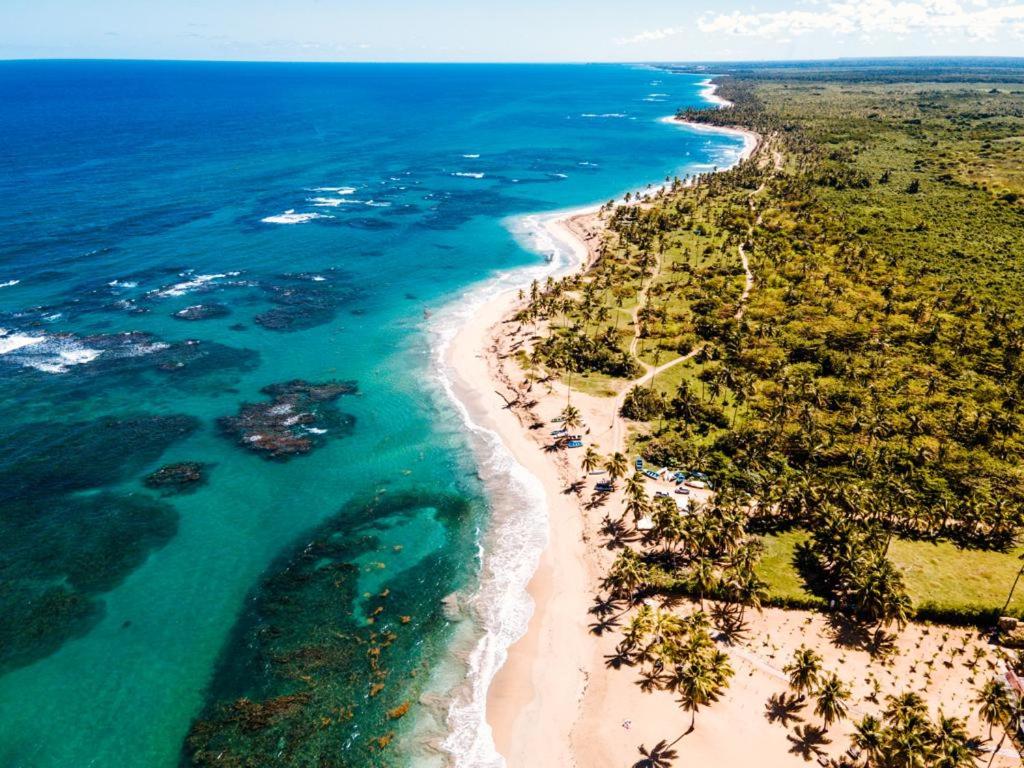 an aerial view of a beach and the ocean at Puntacana Ecolodge Lavacama Beach Costa Arrecife in Punta Cana