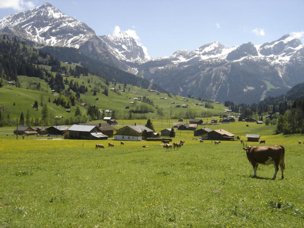 Loodusmaastik of the bed and breakfast lähedal