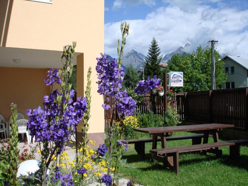 Zahrada ubytování Vila Ema