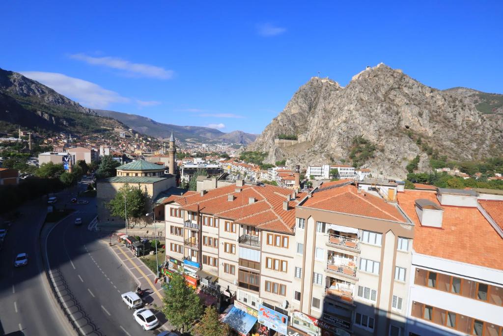Blick auf eine Stadt mit einem Berg im Hintergrund in der Unterkunft AYDINLI HOTEL in Amasya