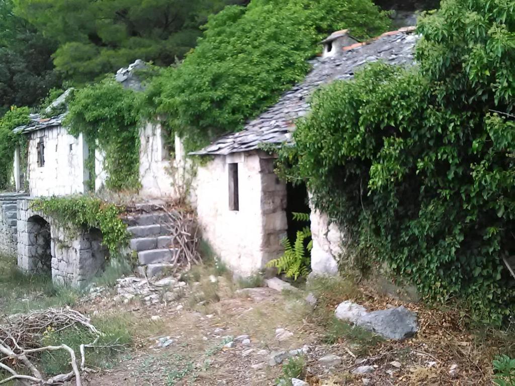 Fotografie z fotogalerie ubytování zorana v destinaci Mimice