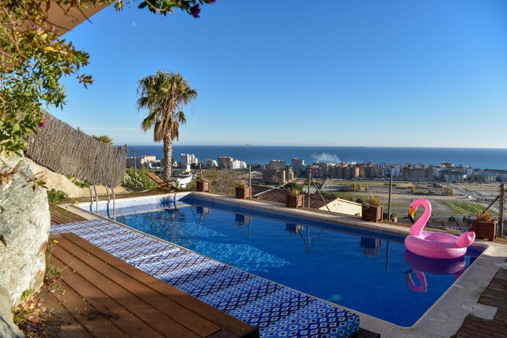 basen z różowym łabędziem w wodzie w obiekcie Villa Miramar Panoramic Views w Santa Susanna