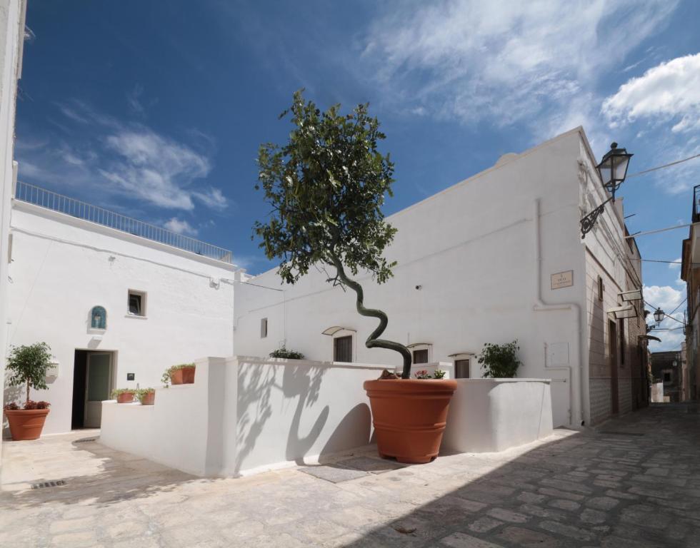 a white building with a potted tree in a courtyard at Santa Marina Bed&Breakfast in Massafra