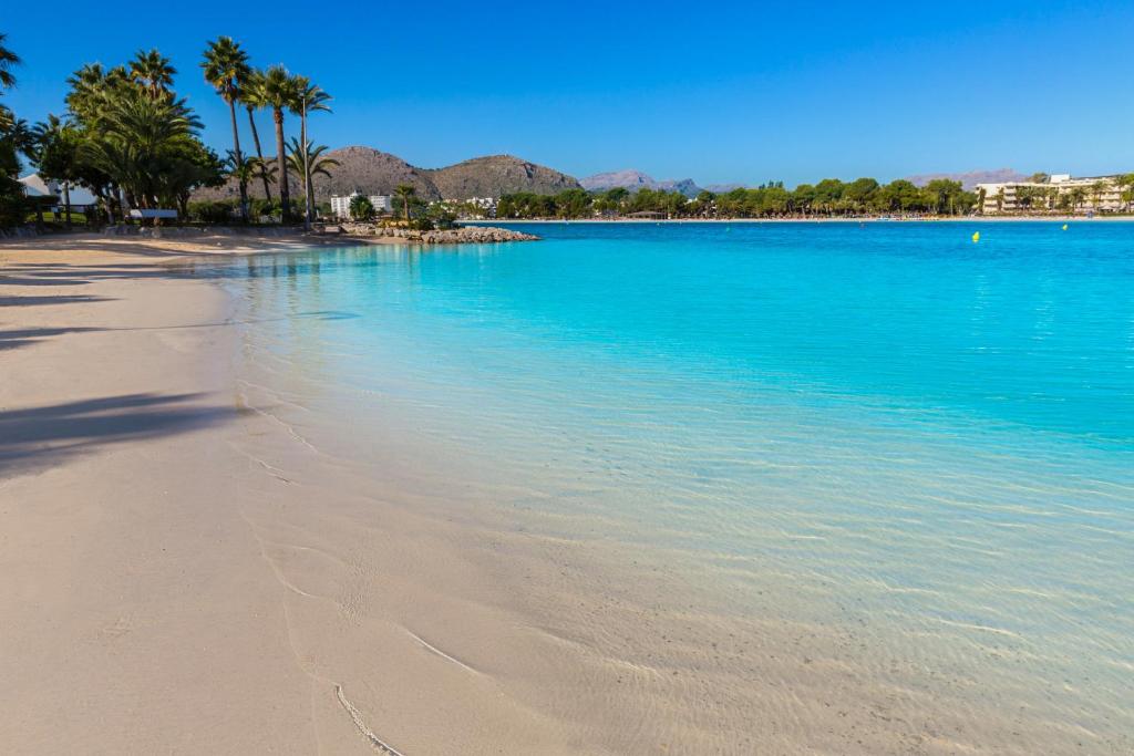 Cala San Vicente - 36717 Mallorca, Cala San Vicente – Precios ...