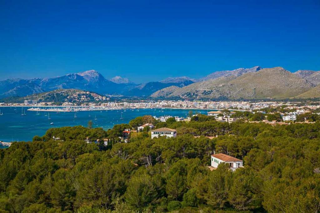 Cala San Vicente - 36717 Mallorca, Cala San Vicente – Precios ...