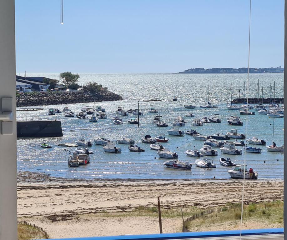 a bunch of boats sitting in the water at Nina studio 5 Places avec vue sur la baie au pied des commerces Classé 3 étoiles in Pornichet