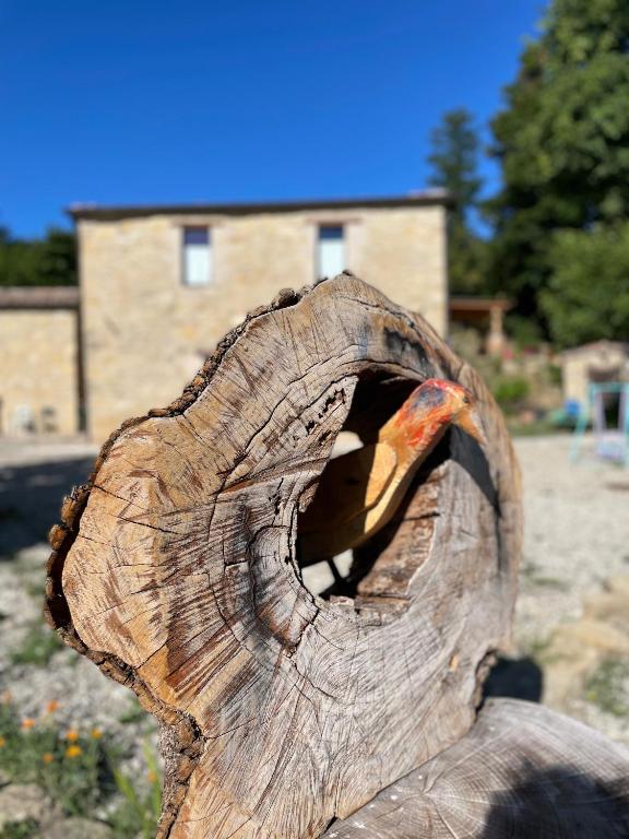 Zdjęcie z galerii obiektu LA TANA DEL PICCHIO w mieście Neviano degli Arduini
