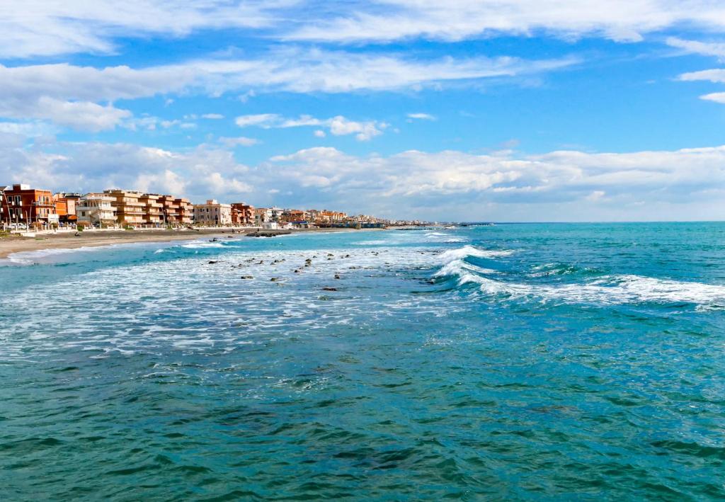 a beach with a bunch of birds in the water at Smy Aran Blu Roma Mare in Lido di Ostia
