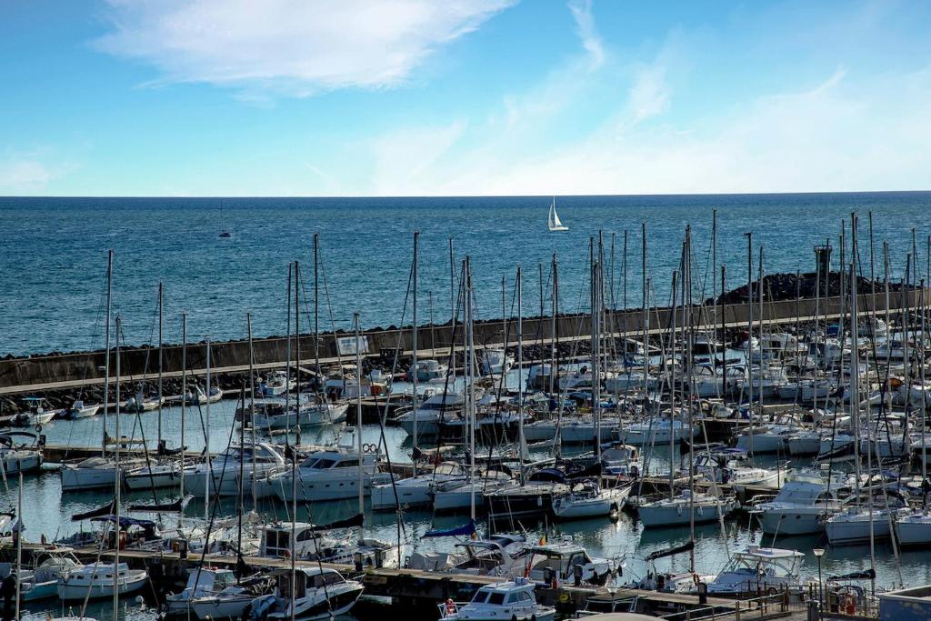 a bunch of boats docked at a dock at Smy Aran Blu Roma Mare in Lido di Ostia