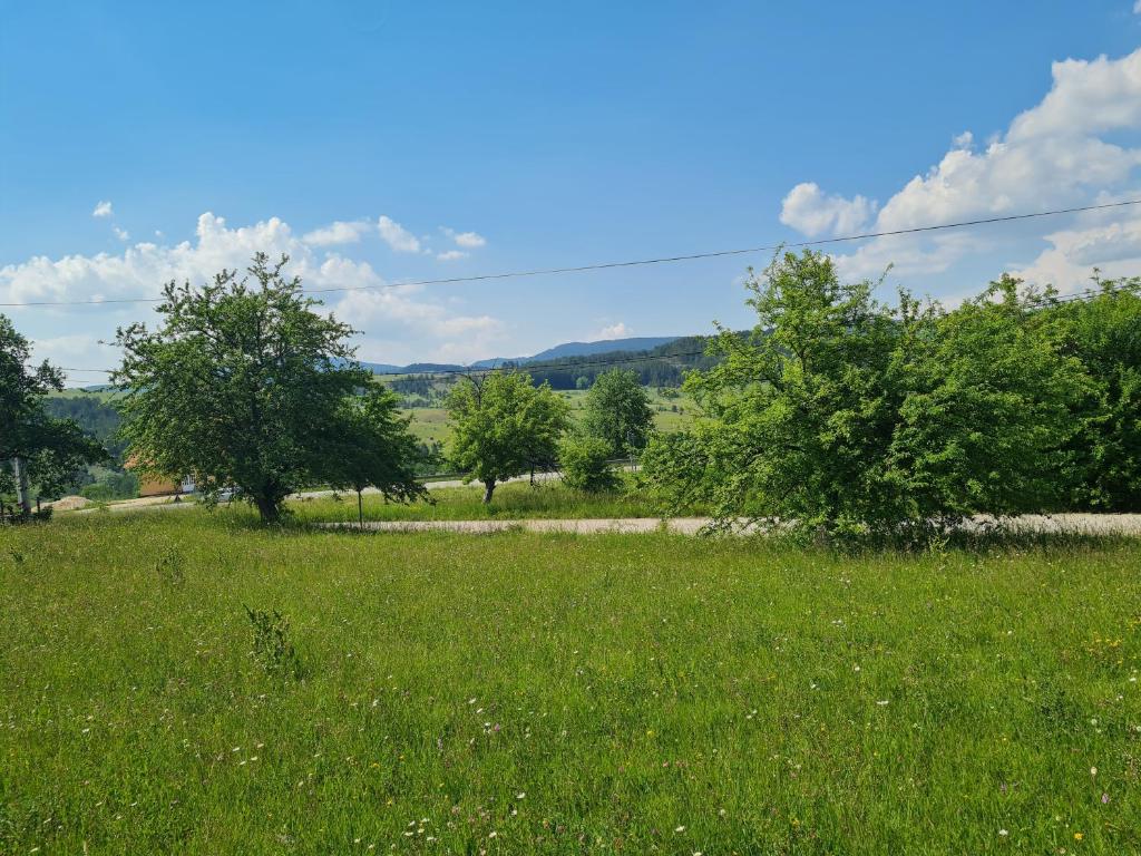 Příroda nedaleko apartmánu