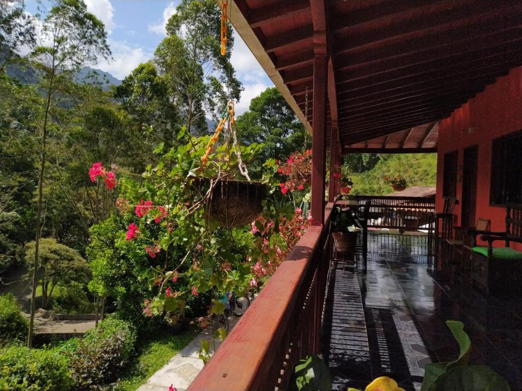 Zahrada ubytování Hotel Orillas del Pizano