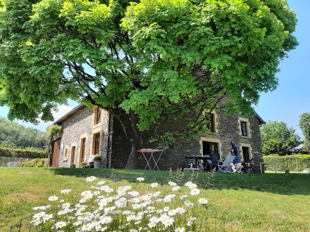 uma antiga casa de pedra com uma árvore e flores em La Maison des Marguerites em Vresse-sur-Semois